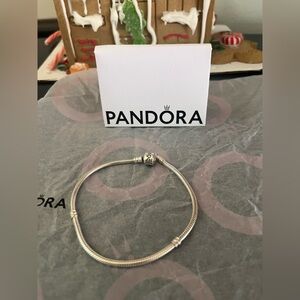 Pandora Bracelet
